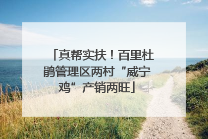 真帮实扶！百里杜鹃管理区两村“威宁鸡”产销两旺