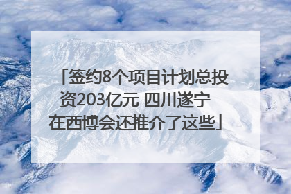 签约8个项目计划总投资203亿元 四川遂宁在西博会还推介了这些