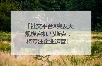 社交平台X突发大规模宕机 马斯克：将专注企业运营
