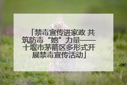 禁毒宣传进家政 共筑防毒“她”力量——十堰市茅箭区多形式开展禁毒宣传活动