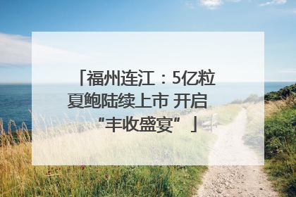 福州连江：5亿粒夏鲍陆续上市 开启“丰收盛宴”