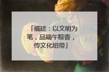福建：以文明为笔，品端午粽香，传文化纽带