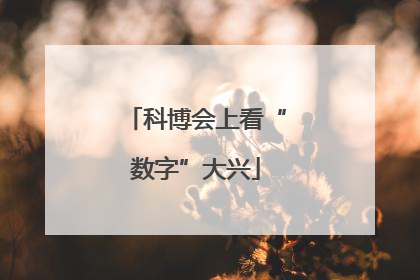 科博会上看“数字”大兴