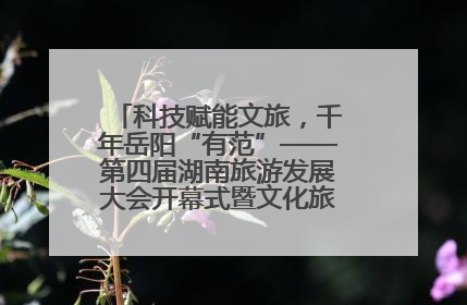 科技赋能文旅，千年岳阳“有范”——第四届湖南旅游发展大会开幕式暨文化旅游推介会侧记