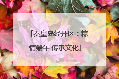 秦皇岛经开区：粽情端午 传承文化