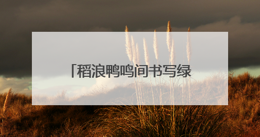稻浪鸭鸣间书写绿色答卷：全国劳模田淑娴的田野振兴梦