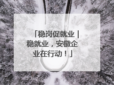 稳岗促就业｜稳就业，安徽企业在行动！
