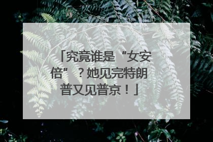究竟谁是“女安倍”？她见完特朗普又见普京！