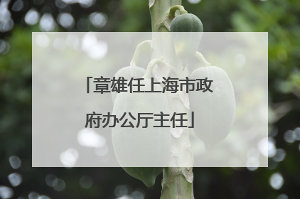章雄任上海市政府办公厅主任
