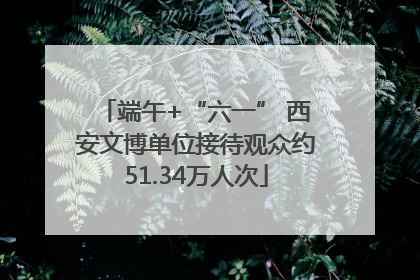 端午+“六一” 西安文博单位接待观众约51.34万人次