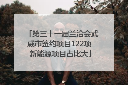 第三十一届兰洽会武威市签约项目122项 新能源项目占比大