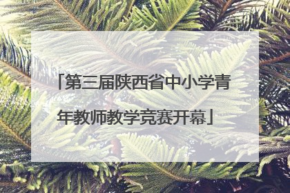 第三届陕西省中小学青年教师教学竞赛开幕