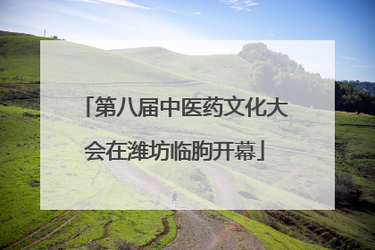 第八届中医药文化大会在潍坊临朐开幕