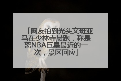 网友拍到光头文班亚马在少林寺晨跑，称是离NBA巨星最近的一次，景区回应