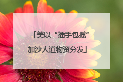 美以“插手包揽”加沙人道物资分发