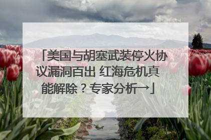 美国与胡塞武装停火协议漏洞百出 红海危机真能解除？专家分析→