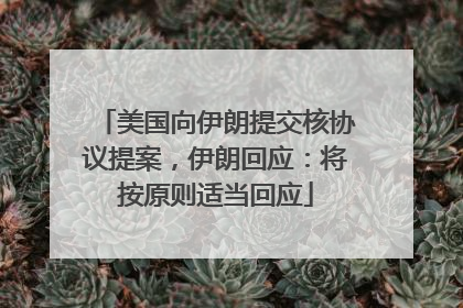 美国向伊朗提交核协议提案，伊朗回应：将按原则适当回应