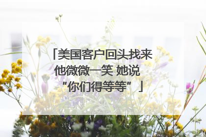 美国客户回头找来 他微微一笑 她说“你们得等等”