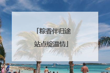 粽香伴归途 站点绽温情