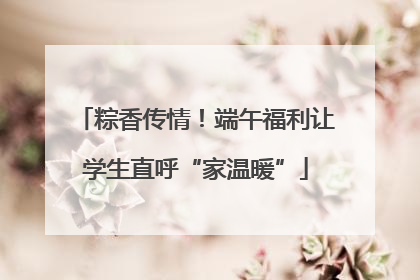 粽香传情！端午福利让学生直呼“家温暖”