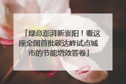 绿意澎湃新襄阳！看这座全国首批碳达峰试点城市的节能增效答卷