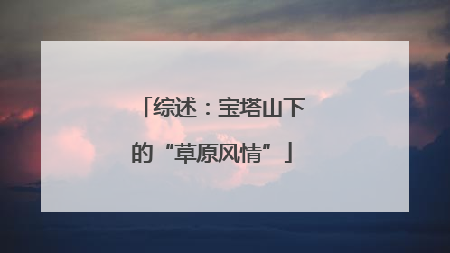 综述：宝塔山下的“草原风情”