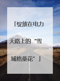 绽放在电力天路上的“雪域格桑花”