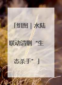 组图｜水陆联动清剿“生态杀手”