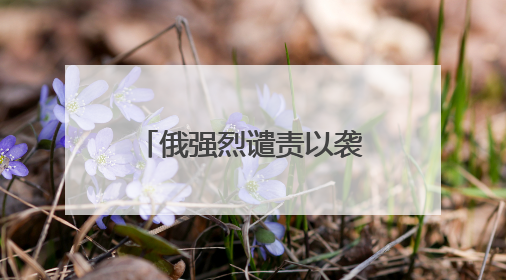 俄强烈谴责以袭击伊朗：违反《联合国宪章》