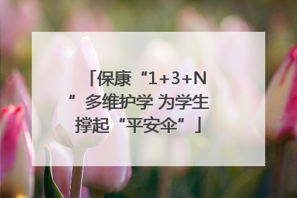 保康“1+3+N”多维护学 为学生撑起“平安伞”