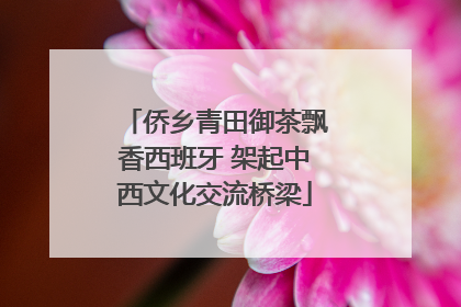 侨乡青田御茶飘香西班牙 架起中西文化交流桥梁