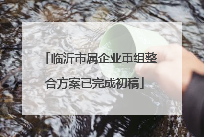 临沂市属企业重组整合方案已完成初稿