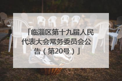临淄区第十九届人民代表大会常务委员会公告（第20号）