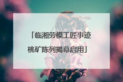 临湘劳模工匠事迹桃矿陈列揭幕启用