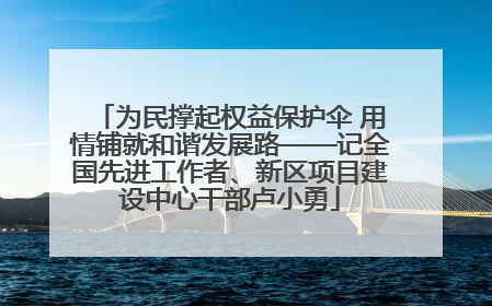 为民撑起权益保护伞 用情铺就和谐发展路——记全国先进工作者、新区项目建设中心干部卢小勇