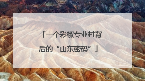 一个彩椒专业村背后的“山东密码”