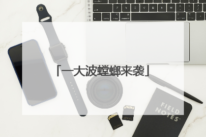 一大波螳螂来袭