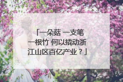 一朵菇 一支笔 一根竹 何以撬动浙江山区百亿产业？