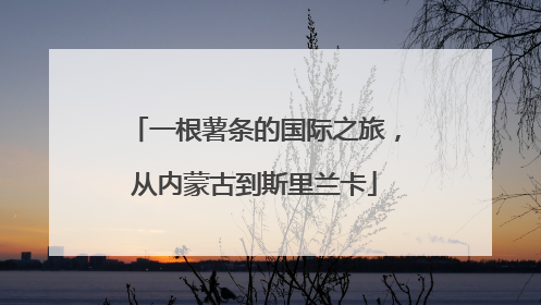 一根薯条的国际之旅，从内蒙古到斯里兰卡
