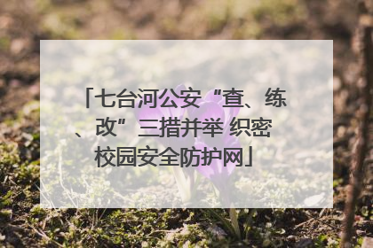 七台河公安“查、练、改”三措并举 织密校园安全防护网