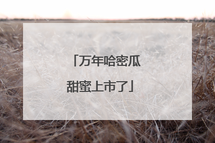 万年哈密瓜甜蜜上市了
