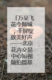 万朵飞花今倾城，千屏绽放美好声——北京花卉交易中心短视频拍摄基地启幕
