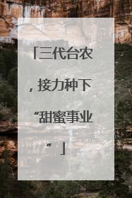 三代台农，接力种下“甜蜜事业”