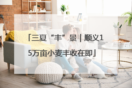 三夏“丰”景｜顺义15万亩小麦丰收在即