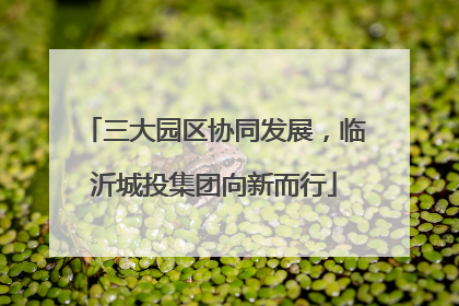 三大园区协同发展，临沂城投集团向新而行