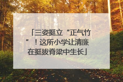 三姿挺立“正气竹”！这所小学让清廉在挺拔脊梁中生长