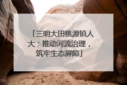 三明大田桃源镇人大：推动河流治理，筑牢生态屏障