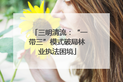三明清流：“一带三”模式破局林业执法困境