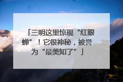 三明这里惊现“红眼蝉”！它很神秘，被誉为“最美知了”