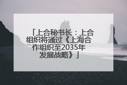 上合秘书长：上合组织将通过《上海合作组织至2035年发展战略》